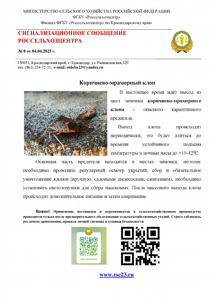 Авито каневская услуги все объявления