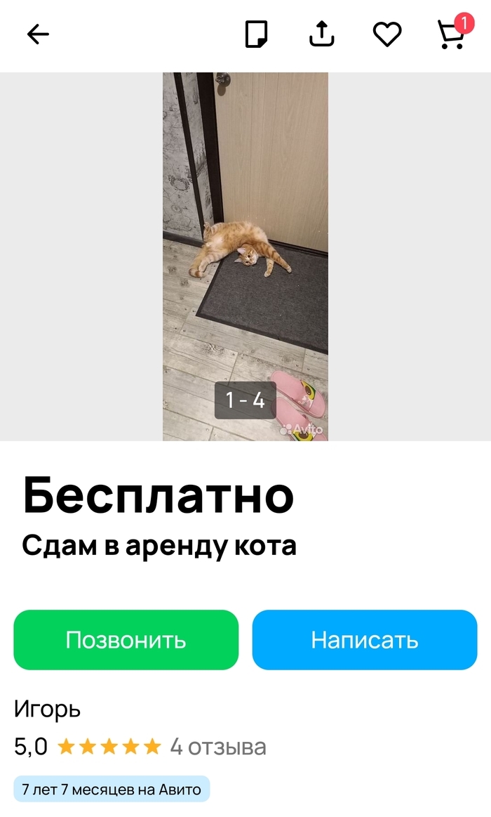 Авито красноярск доска объявлений сниму квартиру