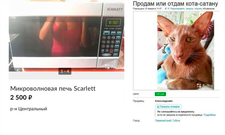 Авито петрозаводск доска бесплатных объявлений