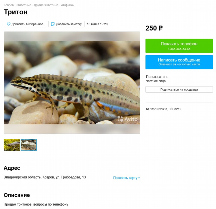 Авито тобольск объявления животные