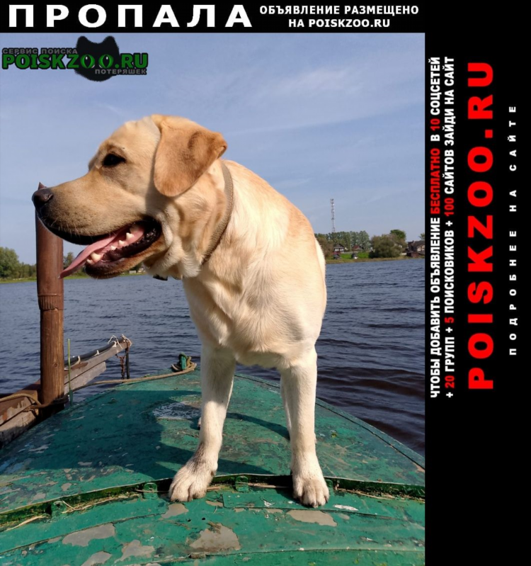 Доска объявлений г болхов