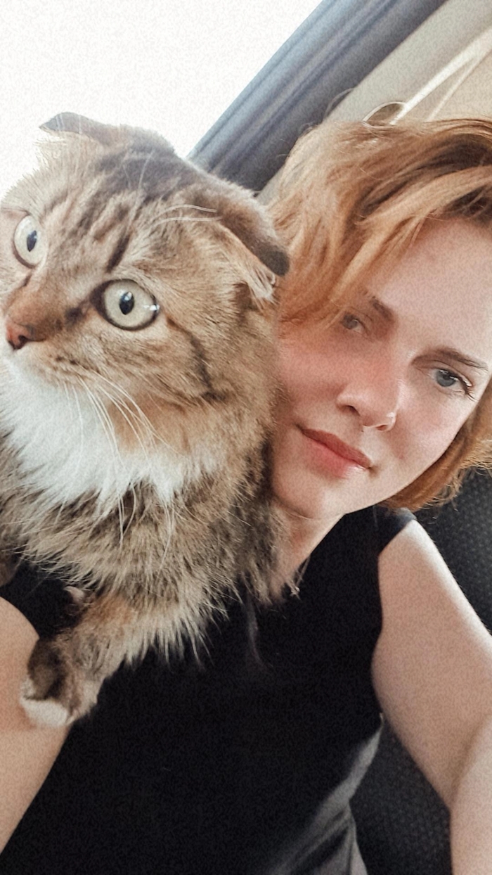 Котята даром тюмень свежие объявления