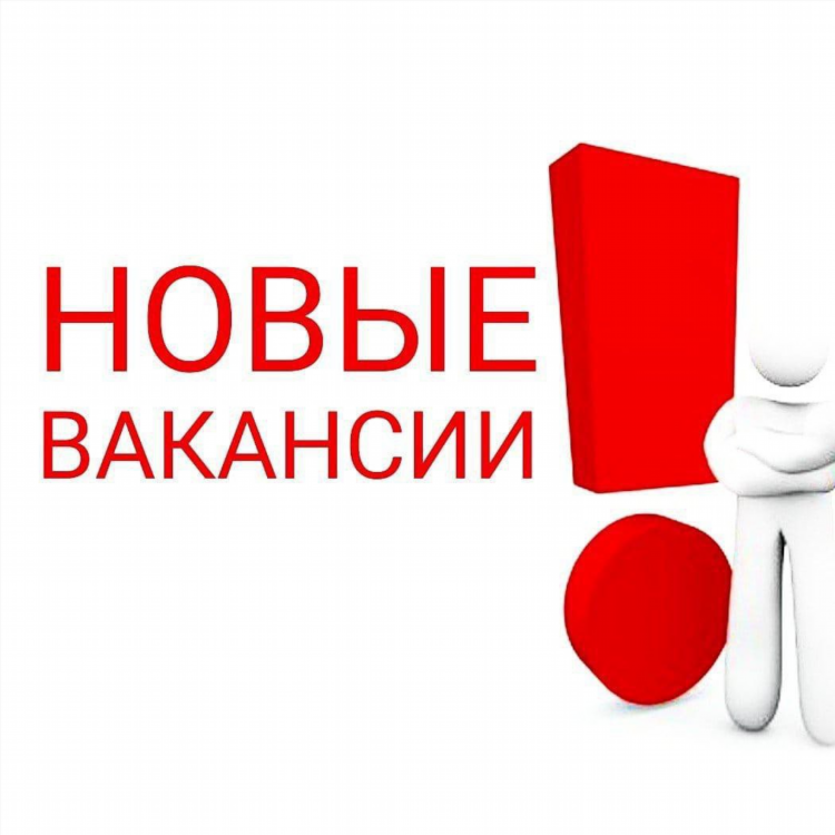 Новые объявления