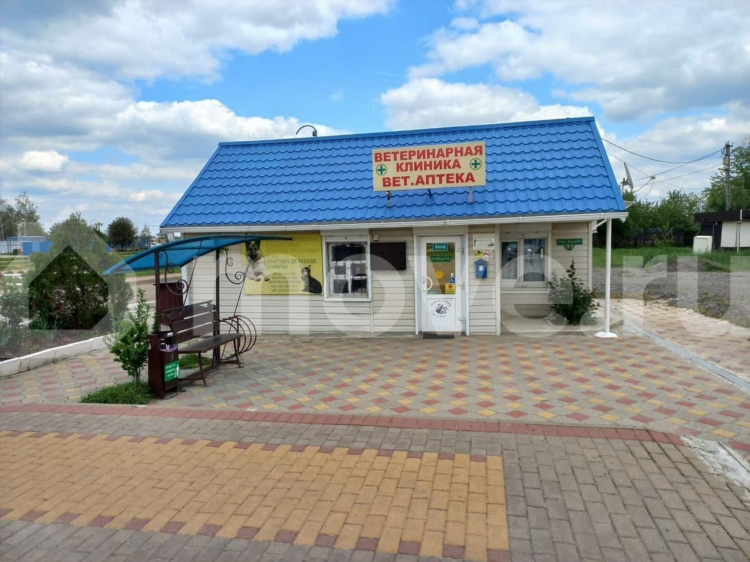 Объявление на авито в ст кущевская