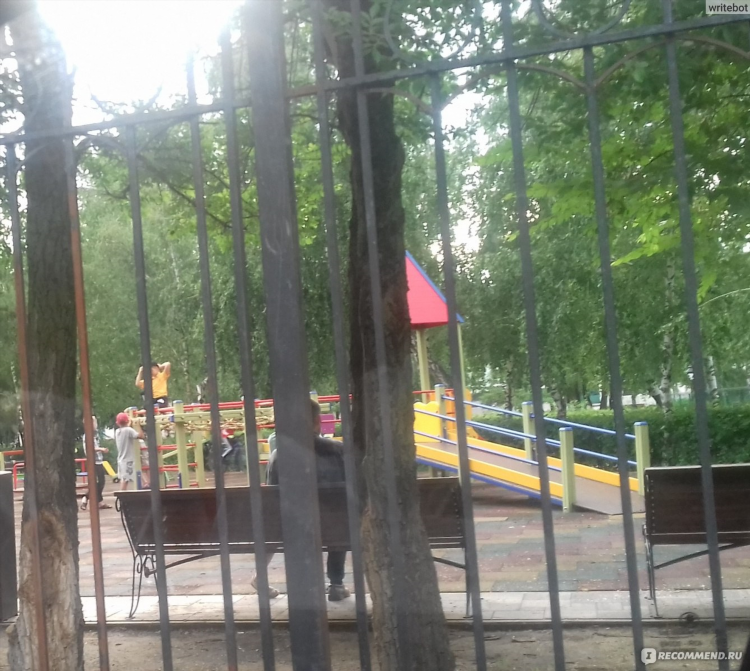 Объявление павловск воронежская область
