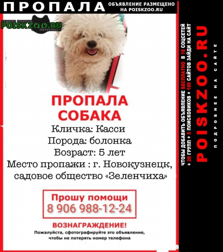 Потеряно доска объявлений