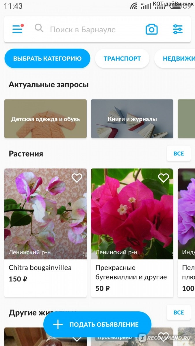 Рубцовск авито объявления