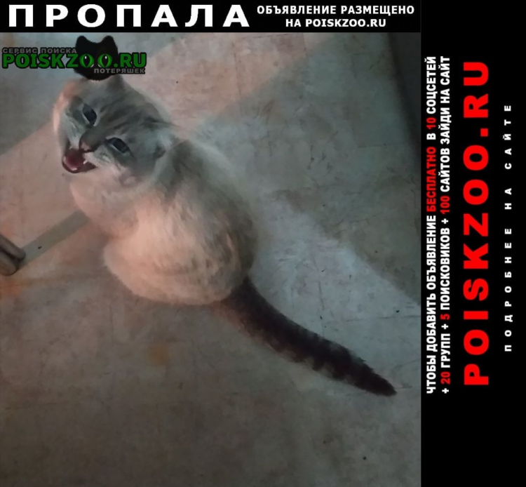 Сайт объявлений белорецка